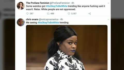 Trolling liberals by making the #itsokaytobewhite trending. It was wild