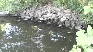 Schuylkill River Bass Fishing