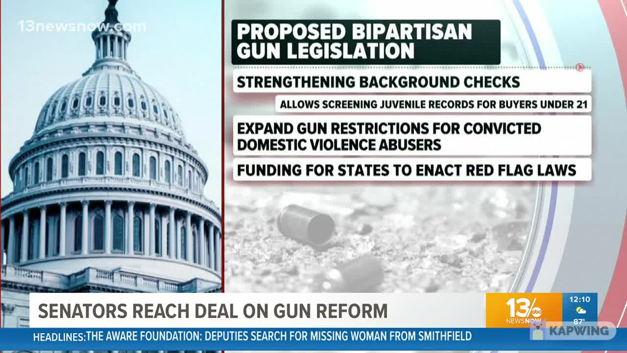 10 Democrats and 10 Republicans Push Gun Regulations