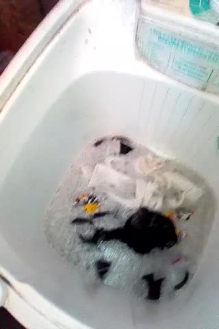 lavando roupa na maquina