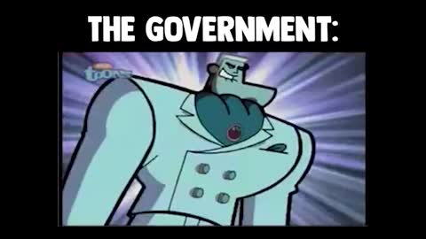 The Government: