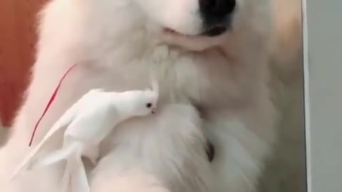 What's going on here