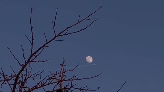 Forever in love with the moon