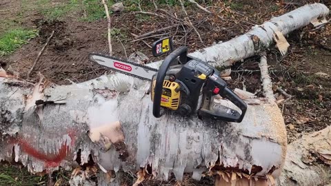 Firewood Weekend