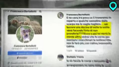 "LE BELLE PAROLE DEGLI ODIATORI SERIALI". NON E' POSSIBILE ALCUN COMMENTO, SOLO UN PROFONDO SENSO DI PENA.🤡👎