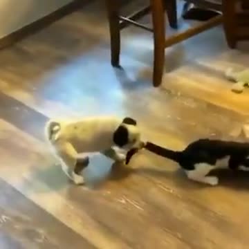 Good Night to All Friends -