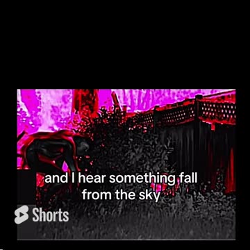 8-10 foot tall Reptillian Alien caught on Backyard Camera