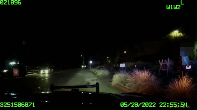 Paul Pelosi’s DUI dashcam video released hours after guilty plea