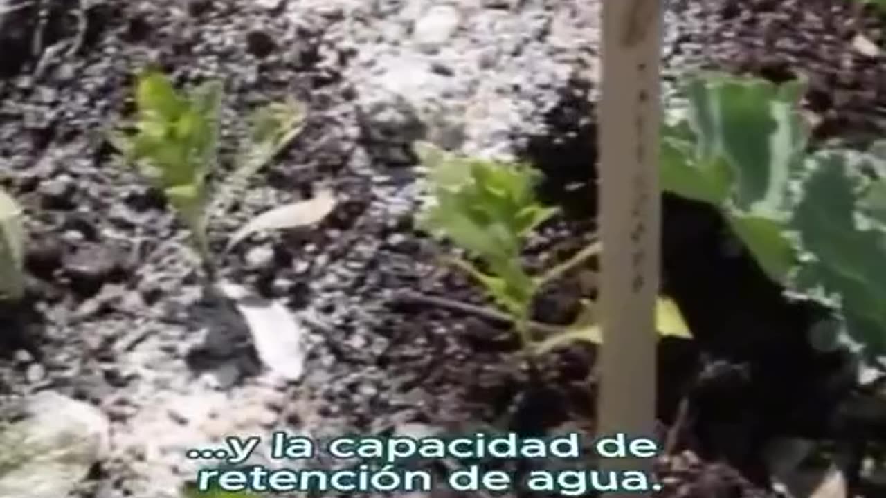 TIERRA DE DIATOMEAS