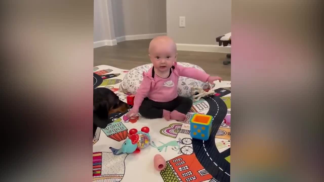 Cute babies play with dogs and cats complilation