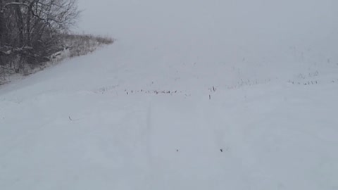 Iowa Sledding