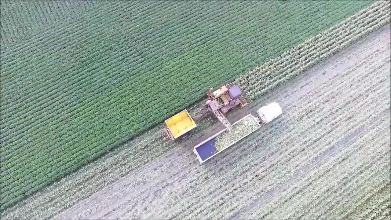 Sugar beet, Sweet Corn, Onion Harvesting Machine 2023 - Modern Agriculture Harvest Technology