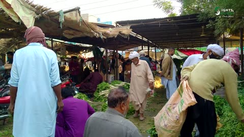 Rahim Yar Khan City - Punjab, Pakistan