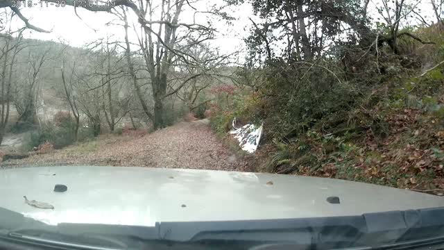 4x4 Response Training day