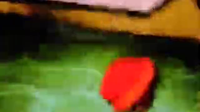 ROBLOX GAMING