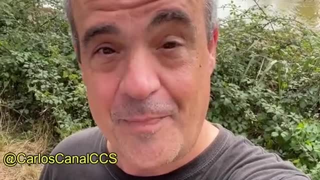 No discutas con retrasados y zotes covidiotas