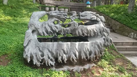 This rockery looks like a dragon.