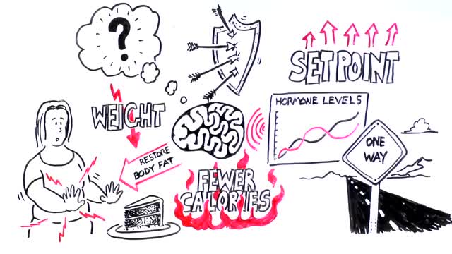 Time to act on obesity: why is it so difficult to lose weight?