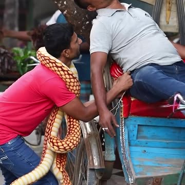 snake funny viral video