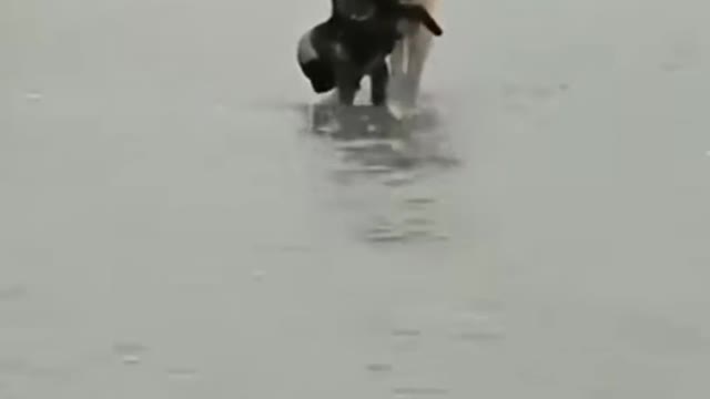 I Got You