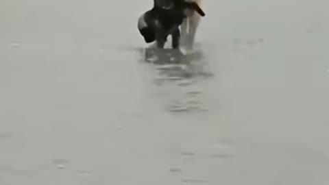 I Got You