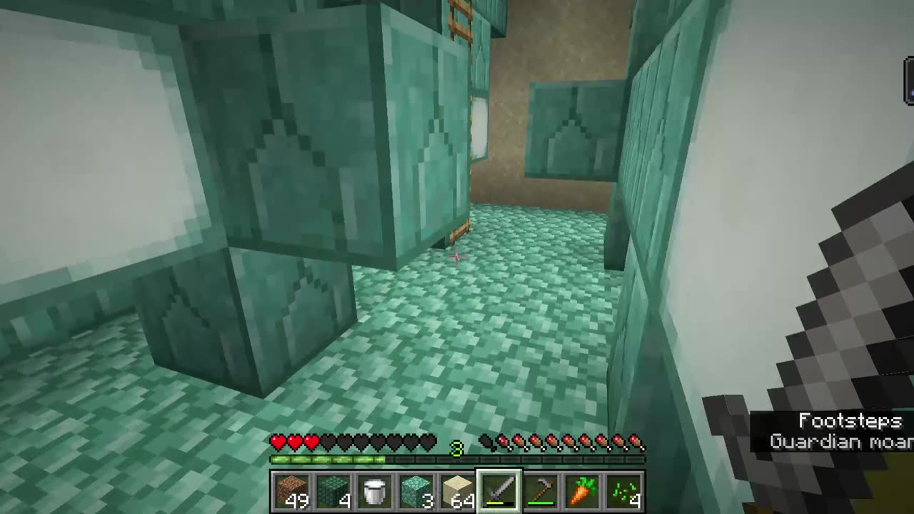 Minecraft Long Play #48