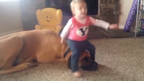 Cute Dogs Fun with babies || Funny Dogs video || Funny & Cute pets