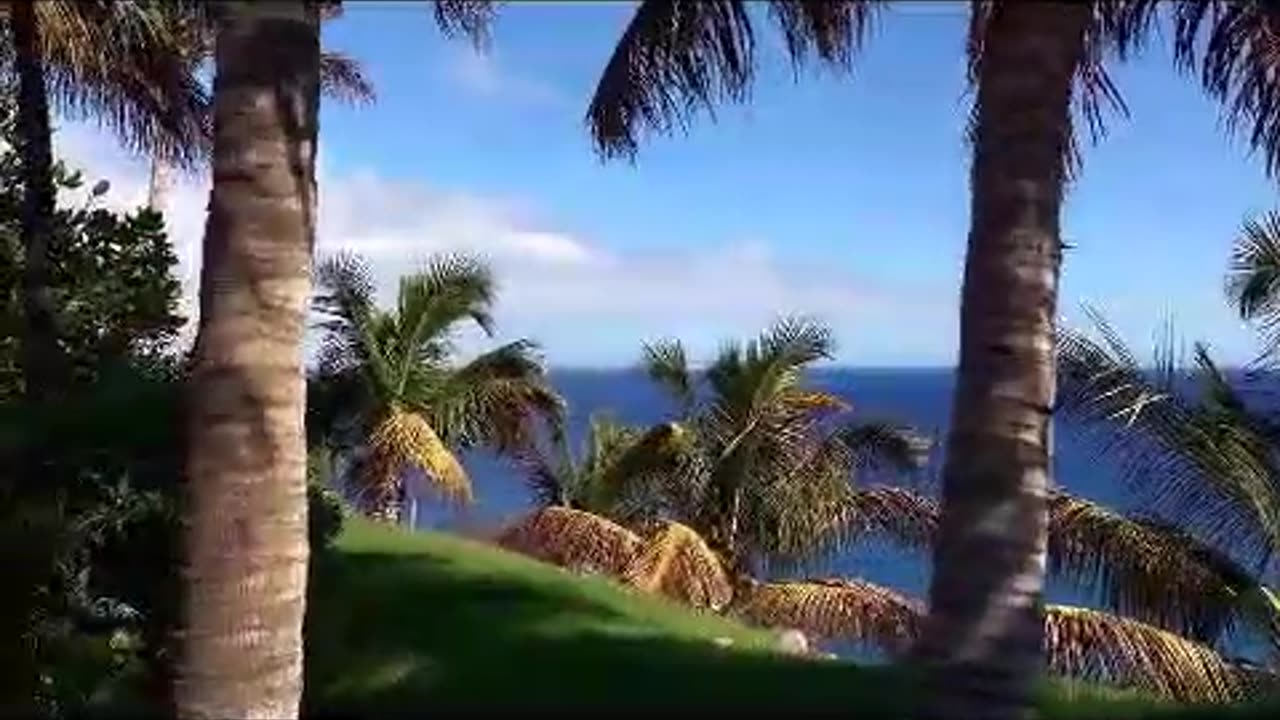 CUP!D$ ep 396 406.mp4