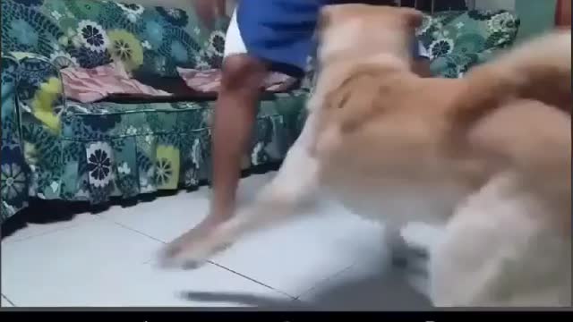 Let's play basketball
