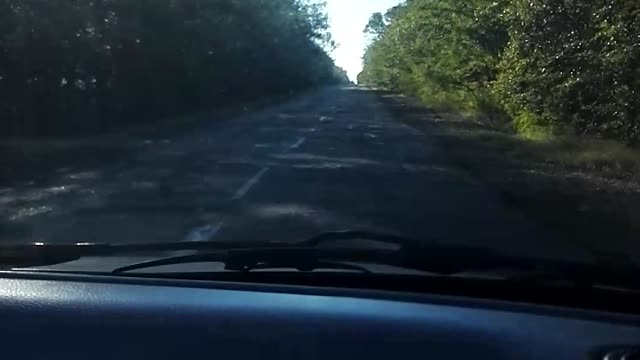 drive in forest