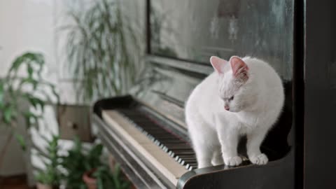 A Woman Walking Over The Piano Keyboard