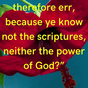 Jesus Said....Do ye not therefore err, because ye know not the scriptures, neither the power of God?