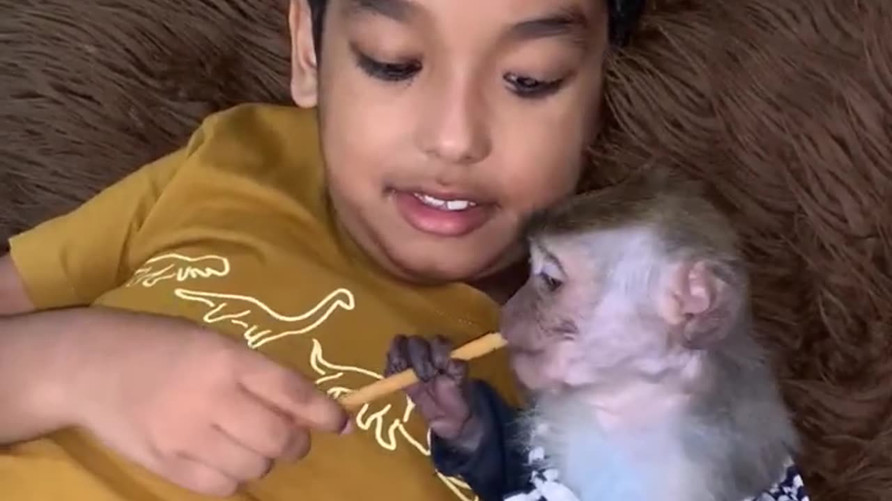 "Monkey See, Baby Do: Adorable and Funny Baby-Monkey Duo!"