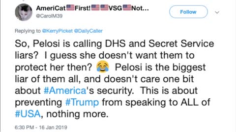 Pelosi Slams Secret Service For Busting Her Lie About Trump Address