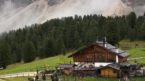 #Useful#Beautiful#Funny #Funny video#laugh# interesting#video#short video#short#short cut