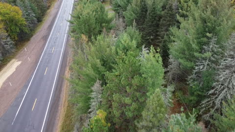Camp Property pre-clearing (October 6, 2024)