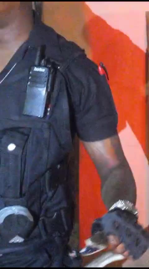 Black mamba captured in KZN home