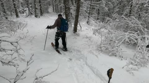 Bashing Through the Snow