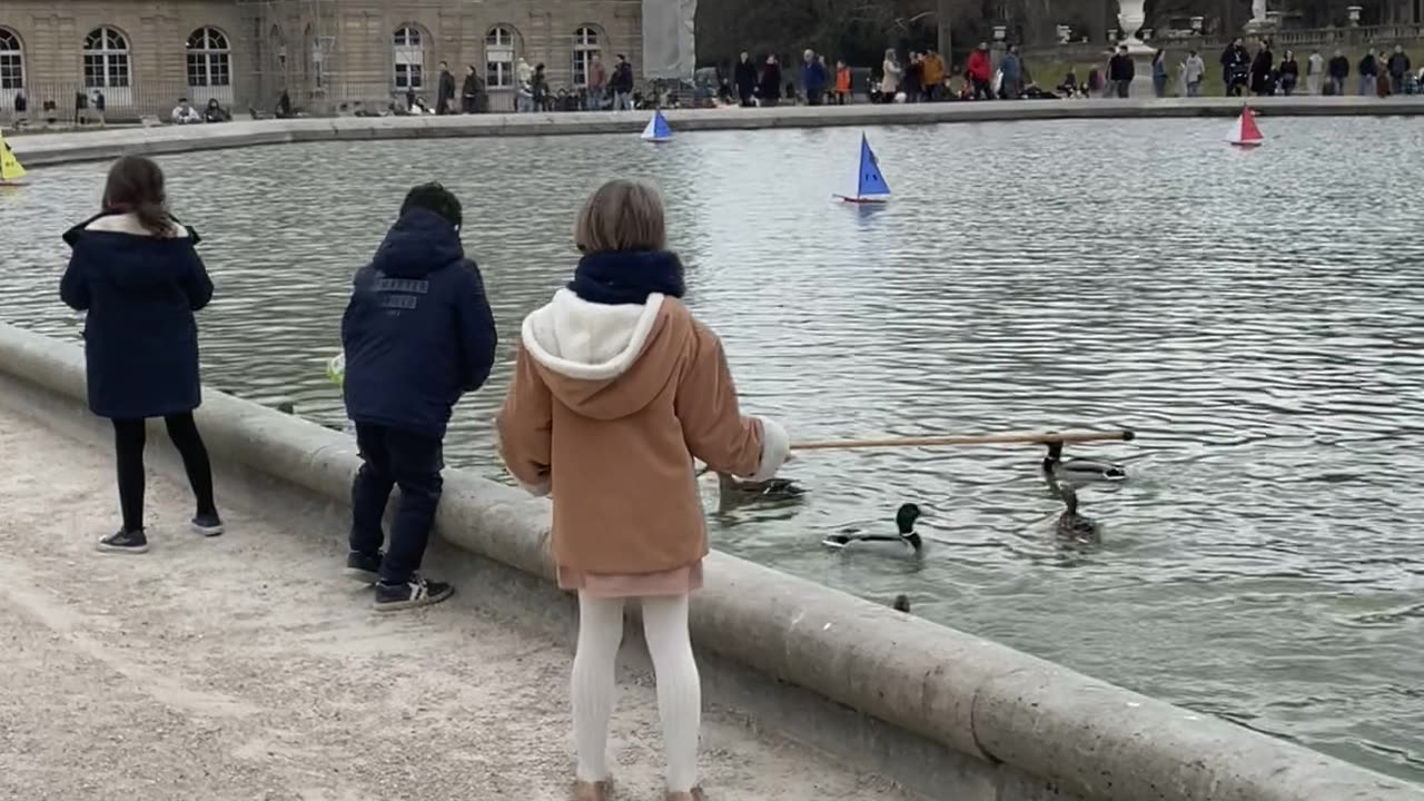 Kids Exploring a Pond with Ducks | Fun Outdoor Adventure #shorts