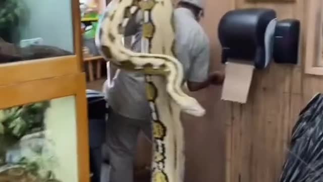 Our 8th most viewed video of 2021 🐍 We love our giant snakes! 🤣