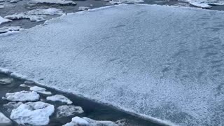 A Morning Swim on Ice