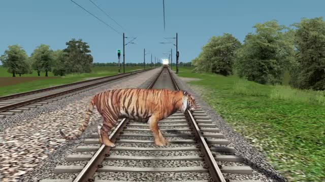 Tiger & monkey on track vs Train and stops the train - Train Simulator