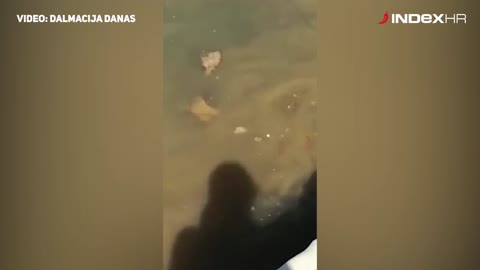 Govna se ulijevaju u more u Kaštel Kambelovcu