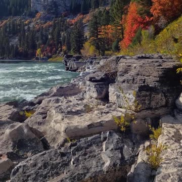 Journey to Dreamland: Exotic Adventures Await