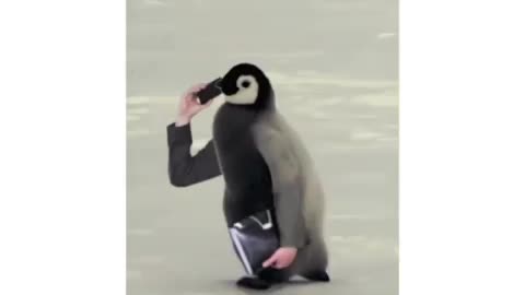 Birds with human hands