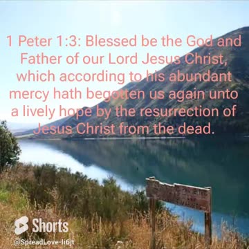 1 Peter 1:3 #shorts #scripture #bible #verse #verseoftheday #inspiration #shorts