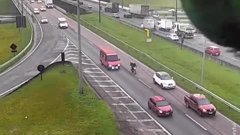 Parrot Photobombs traffic camera