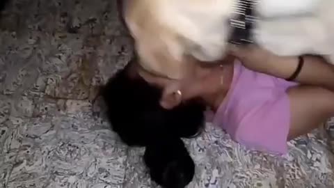 Dog fun with women