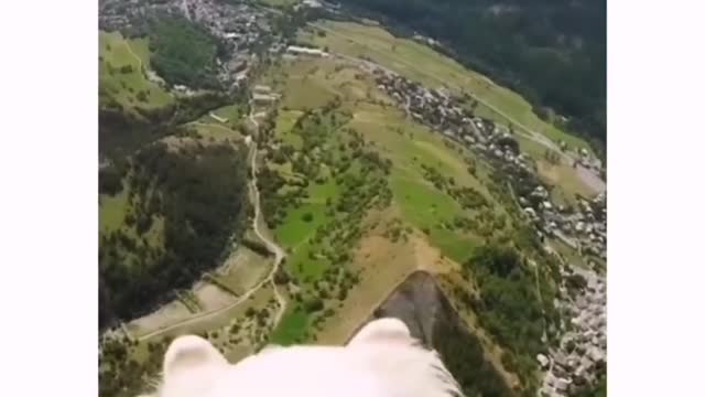 "live a life u will remember" 🐶 📽 @ouka.sam #dogflying #dogsofrumble #pomeranian #pomeranianboo