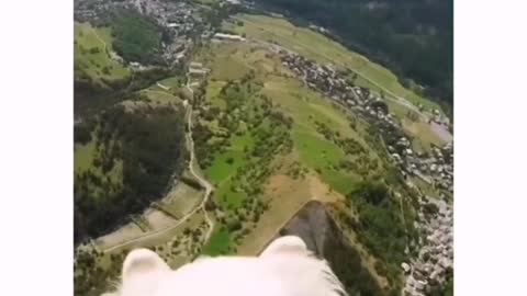 "live a life u will remember" 🐶 📽 @ouka.sam #dogflying #dogsofrumble #pomeranian #pomeranianboo